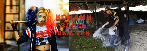 ПСИЛОЦИБИНОВЫЕ ГРИБЫ Абинск