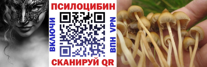 нарко площадка какой сайт  Болгар  Галлюциногенные грибы Magic Shrooms 